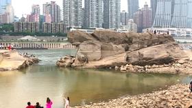 2024年春运于1月26日开启，铁路调图后，济郑高铁拉近东西部距离